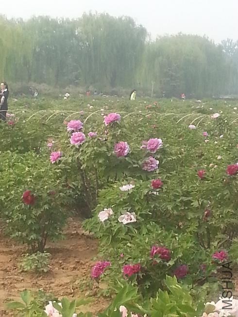 20140413_154340.jpg