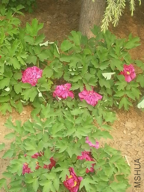 20140413_155331.jpg
