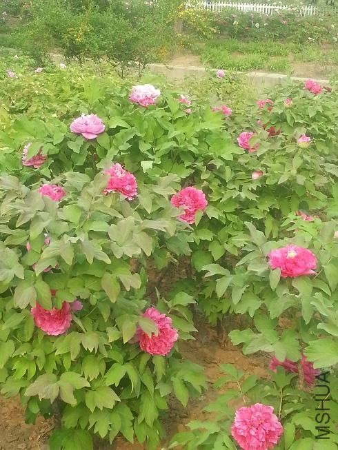 20140413_155421.jpg