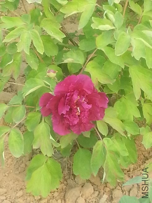 20140413_155457.jpg