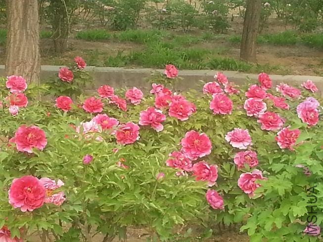 20140413_155524.jpg