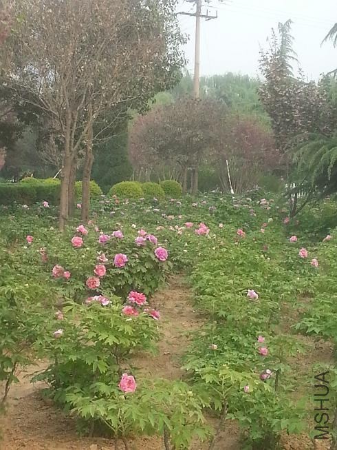 20140413_160319.jpg