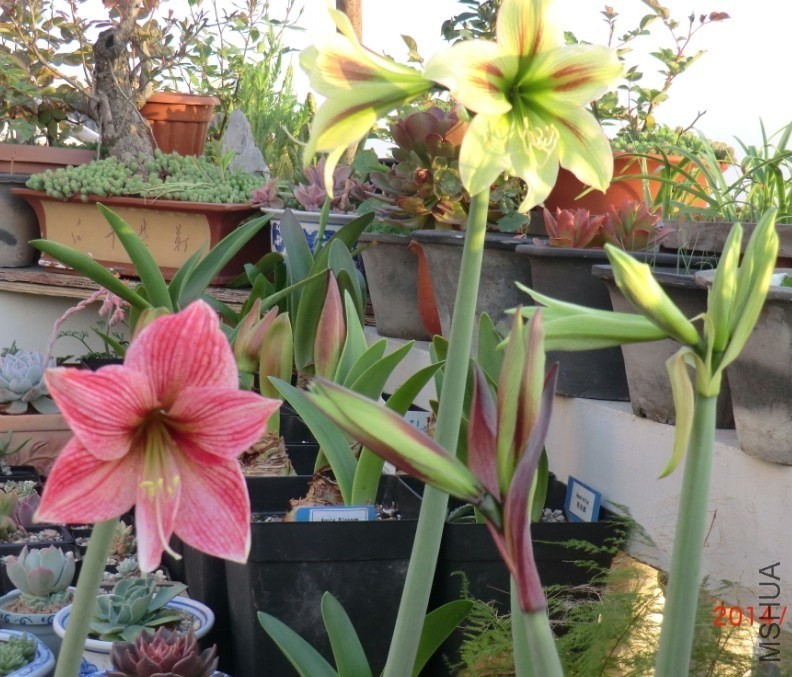QQͼƬ20140410202128.jpg
