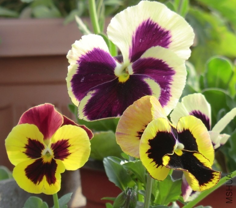 QQͼƬ20140408191424.jpg