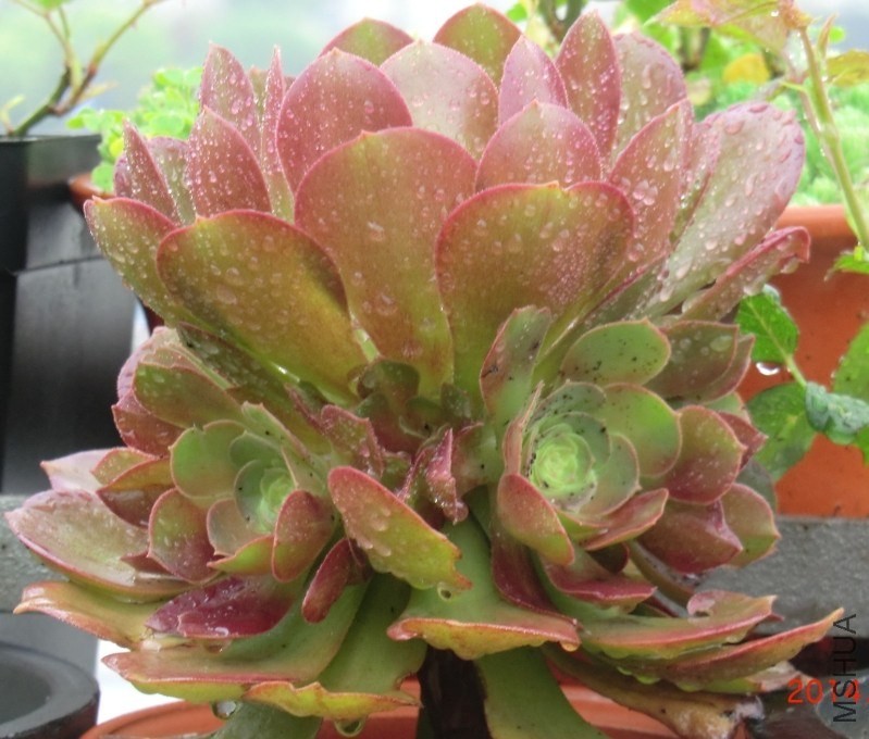 QQͼƬ20140412132954.jpg