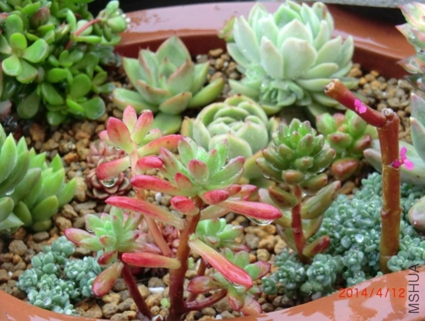 QQͼƬ20140412133205.jpg