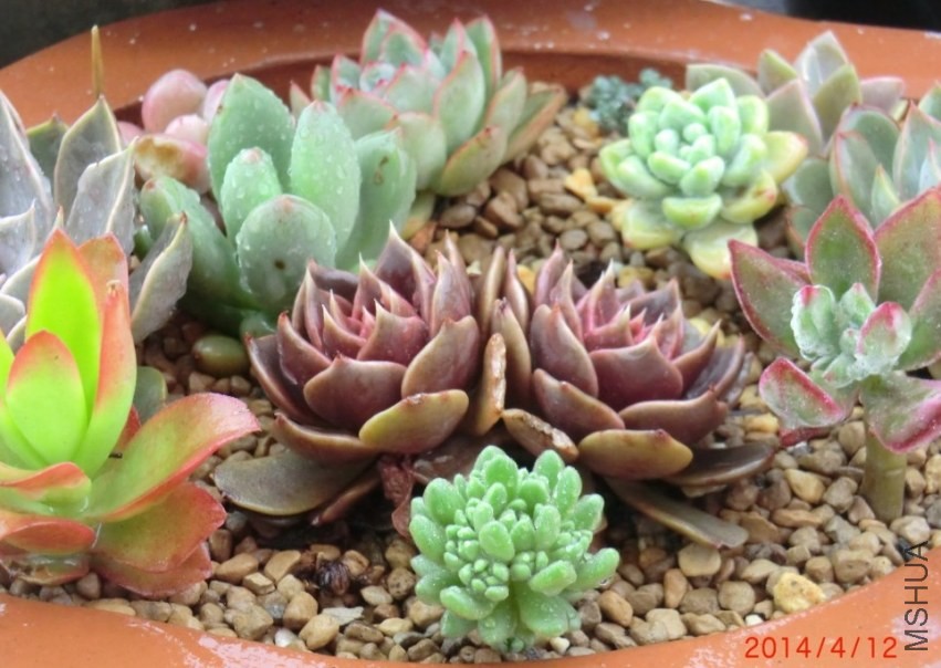 QQͼƬ20140412133232.jpg