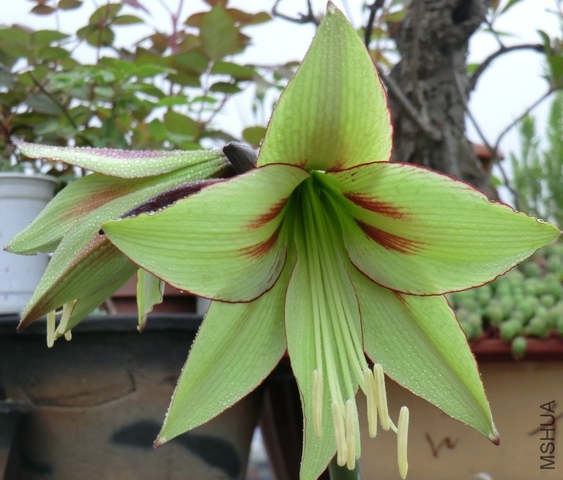 QQͼƬ20140413172039.jpg
