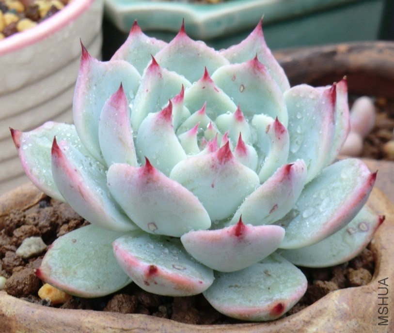 QQͼƬ20140413173148.jpg