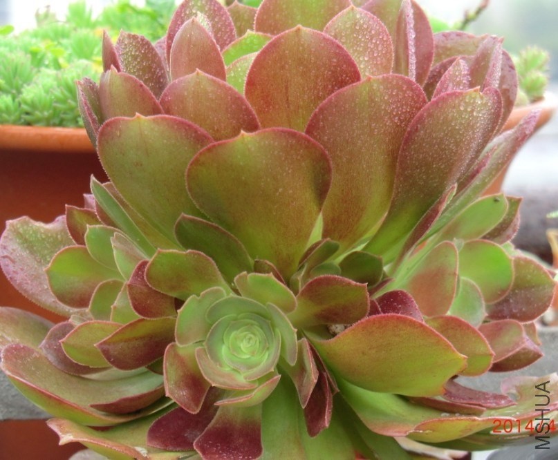 QQͼƬ20140413173051.jpg