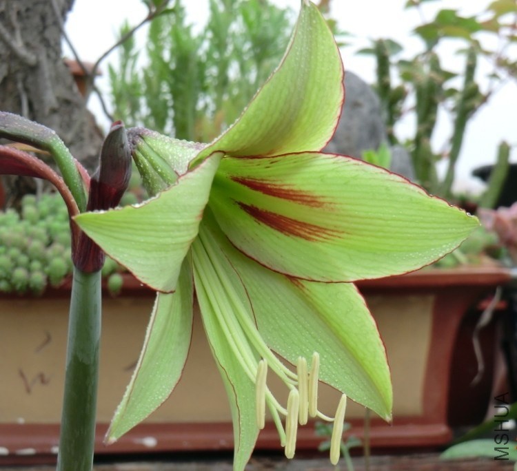QQͼƬ20140413173016.jpg