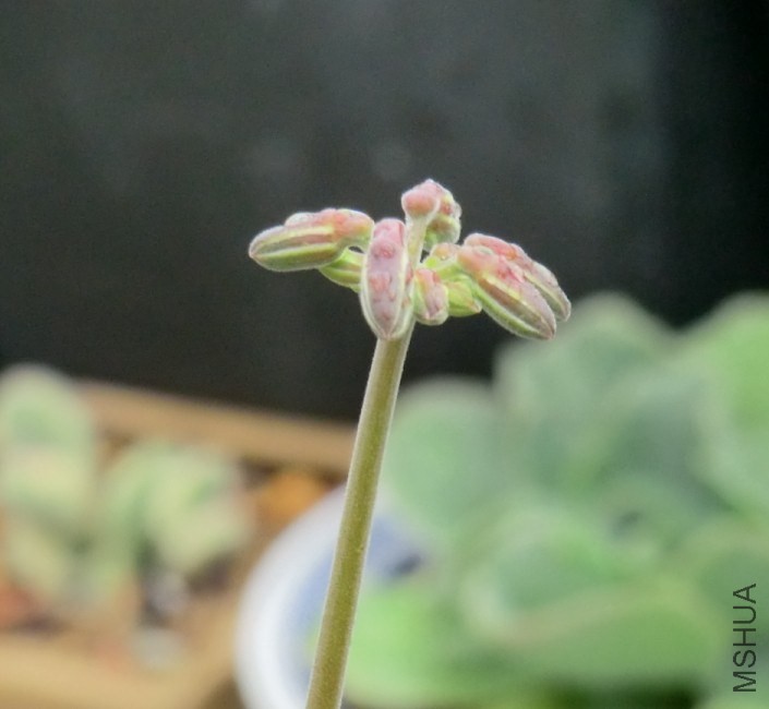 QQͼƬ20140413172827.jpg