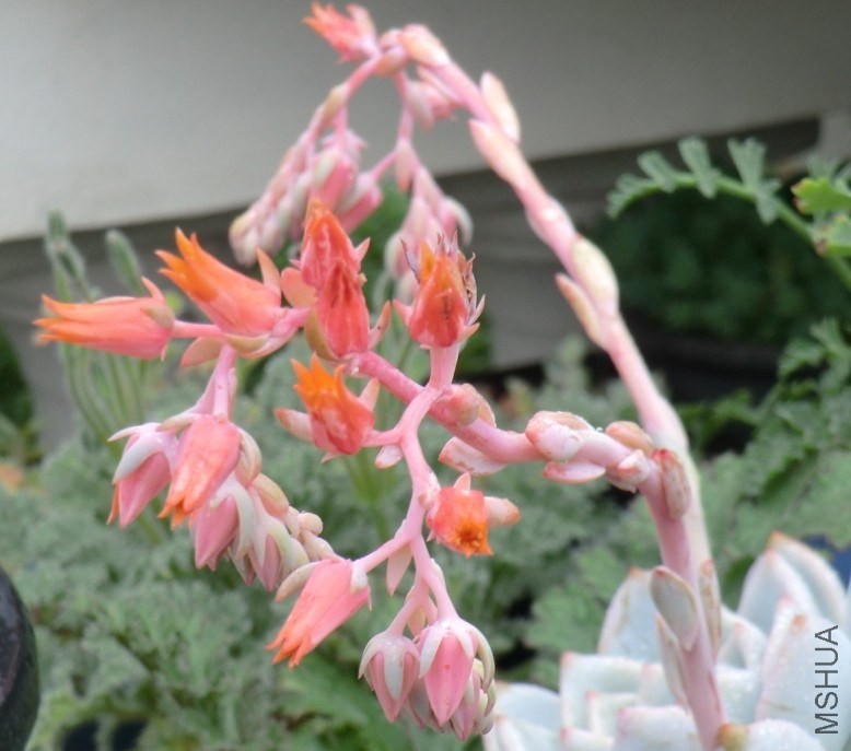 QQͼƬ20140413172351.jpg