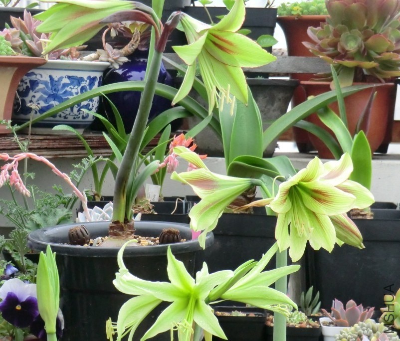 QQͼƬ20140413101754.jpg