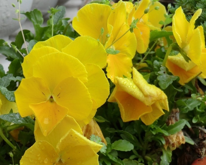 QQͼƬ20140413173506.jpg