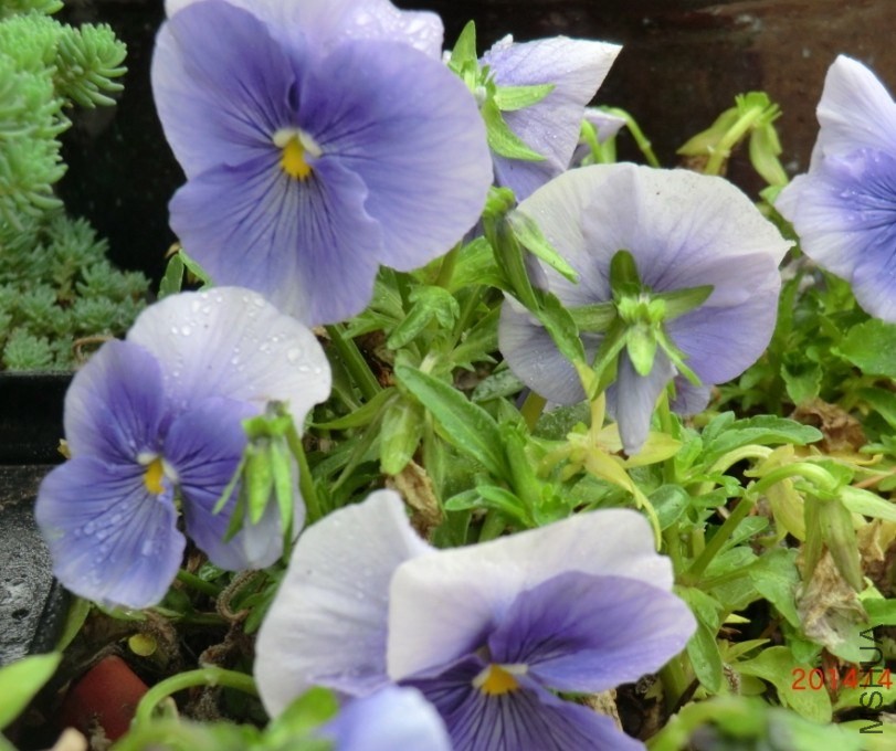 QQͼƬ20140413173445.jpg