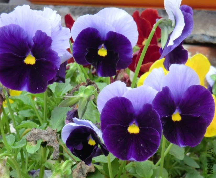 QQͼƬ20140413173355.jpg