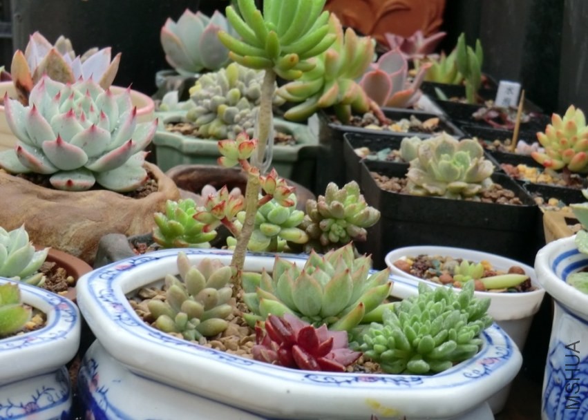 QQͼƬ20140413173308.jpg
