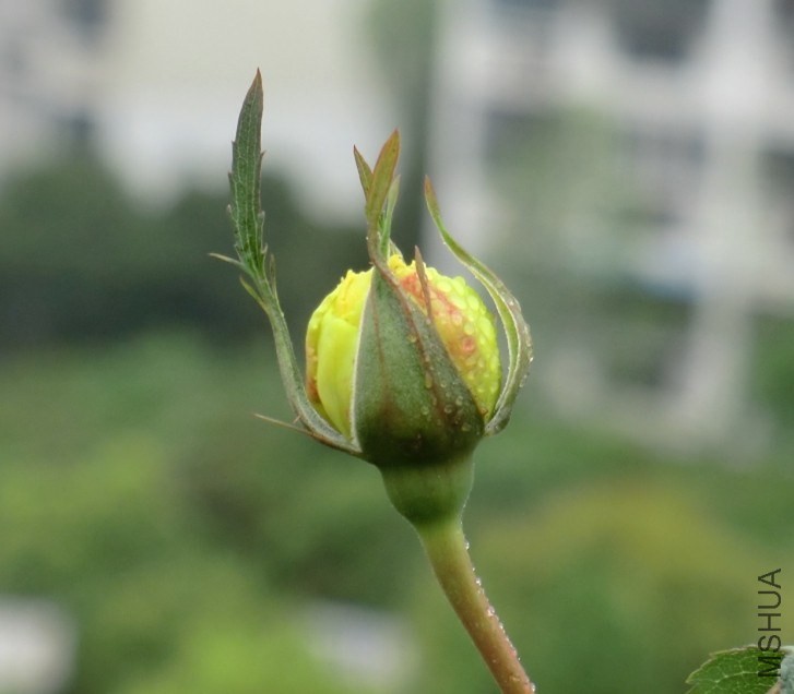 QQͼƬ20140413173210.jpg