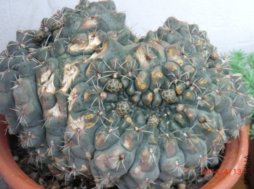 QQͼƬ20140413174143.jpg