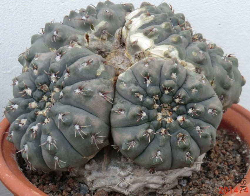 QQͼƬ20140413174120.jpg