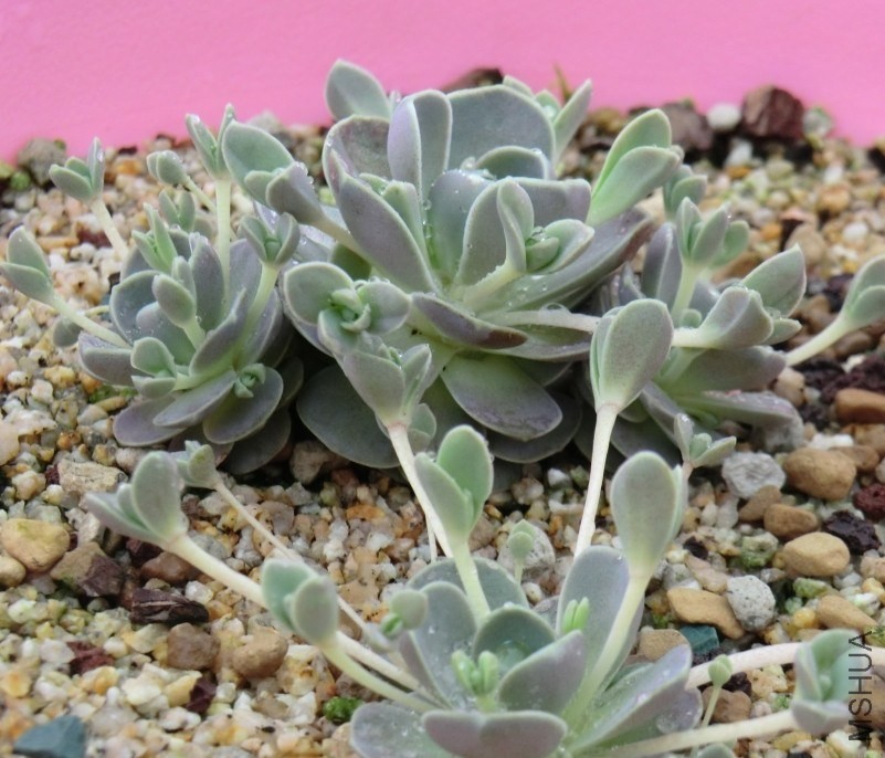 QQͼƬ20140413173947.jpg