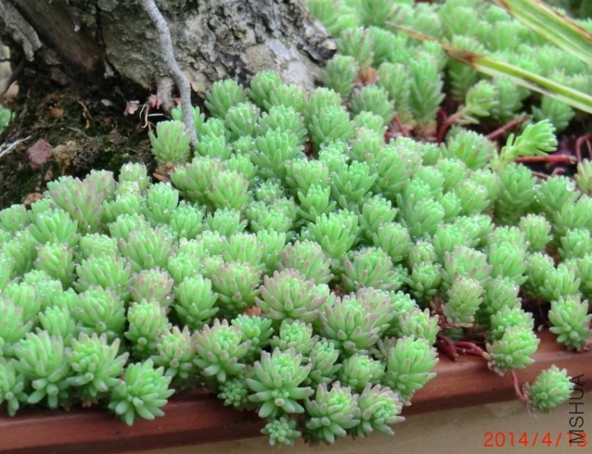 QQͼƬ20140413173819.jpg