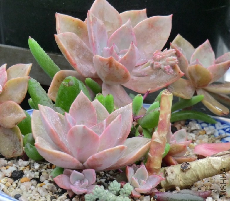 QQͼƬ20140413173737.jpg