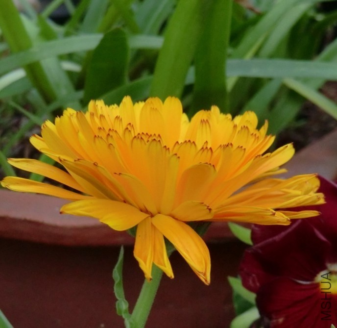 QQͼƬ20140413175246.jpg