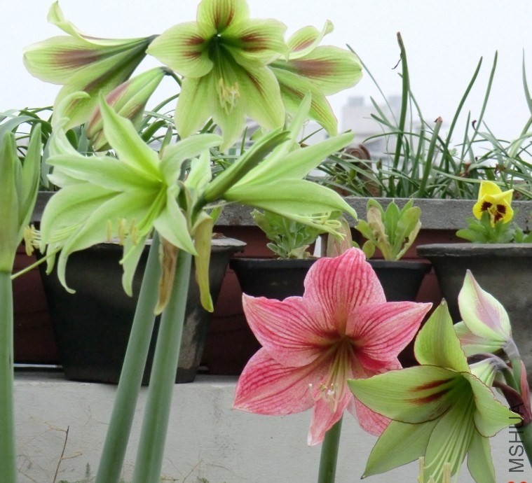 QQͼƬ20140413175130.jpg