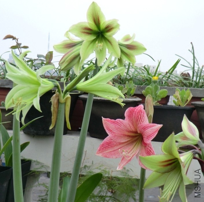 QQͼƬ20140413175230.jpg