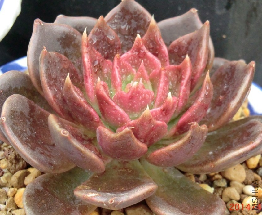 QQͼƬ20140413175004.jpg