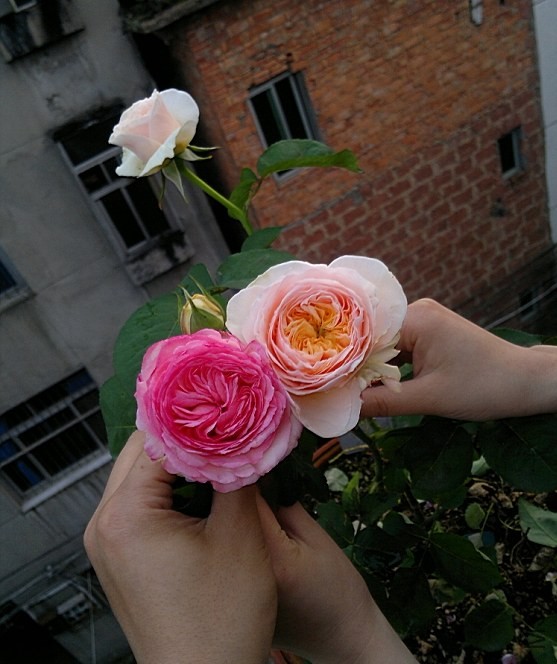 $R{D92U%[9G`WXTYVIJ]X49.jpg