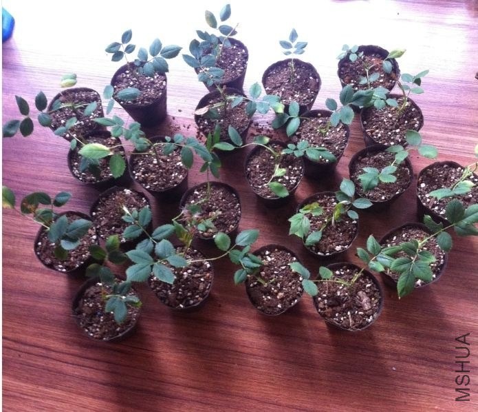 QQͼƬ20140413201113.jpg