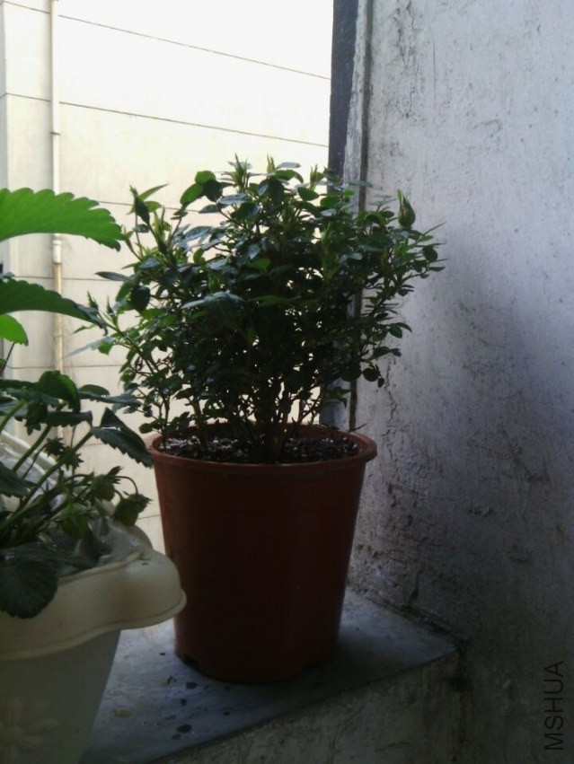 QQͼƬ20140413221458.jpg