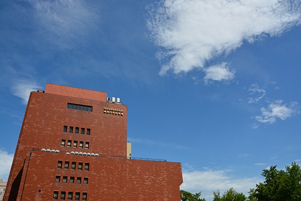 ������¥