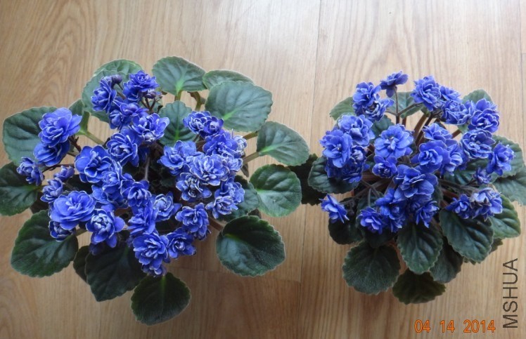 QQͼƬ20140414085609.jpg