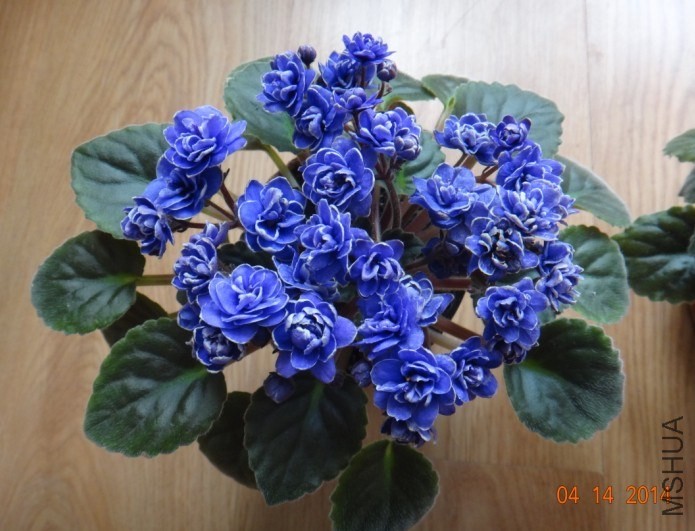 QQͼƬ20140414085604.jpg