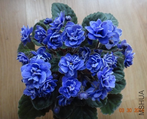 QQͼƬ20140330075435.jpg