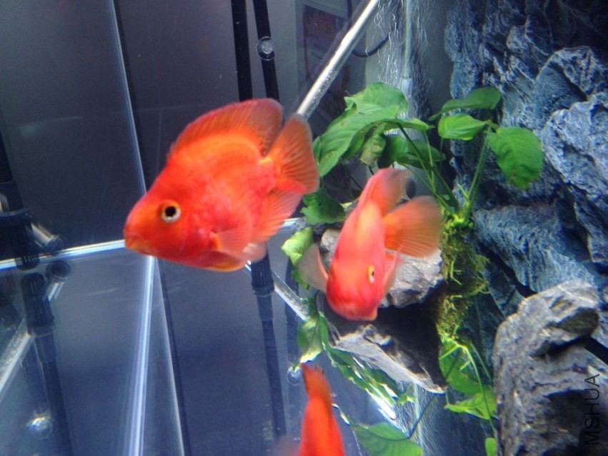 QQͼƬ20140414100256.jpg