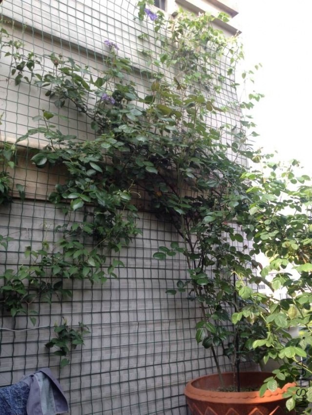 QQͼƬ20140414100730.jpg