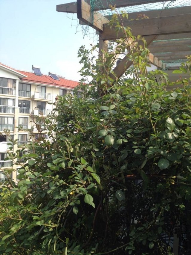 QQͼƬ20140414100741.jpg
