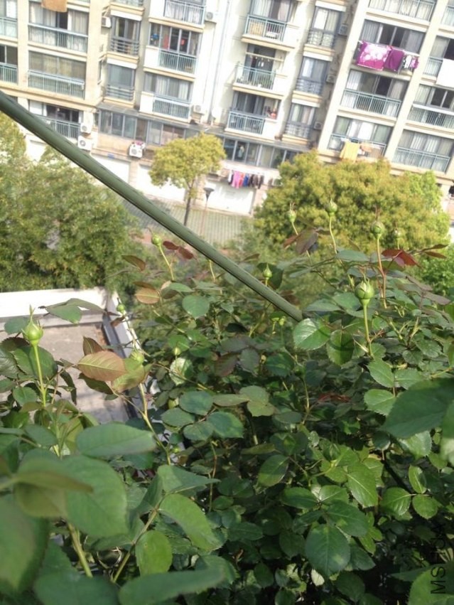 QQͼƬ20140414100859.jpg