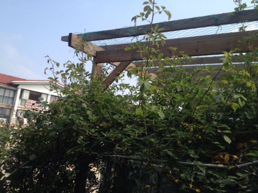QQͼƬ20140414101014.jpg