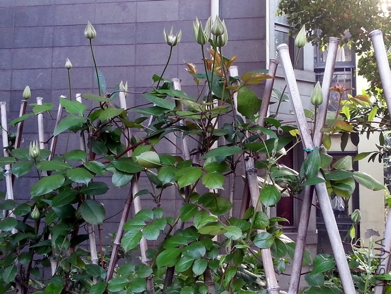 ����20140414B.jpg