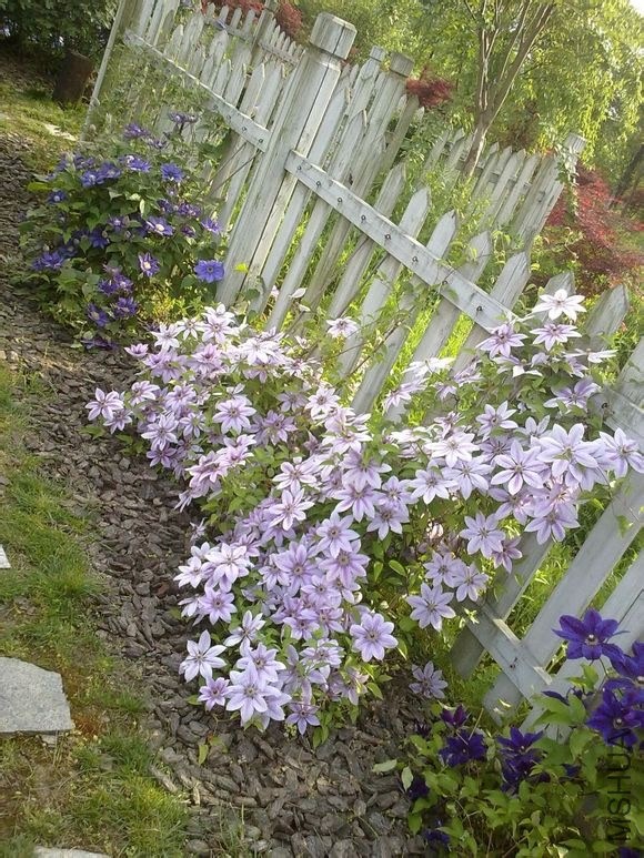 5ec8e71190ef76c6707834e29d16fdfaae516763.jpg