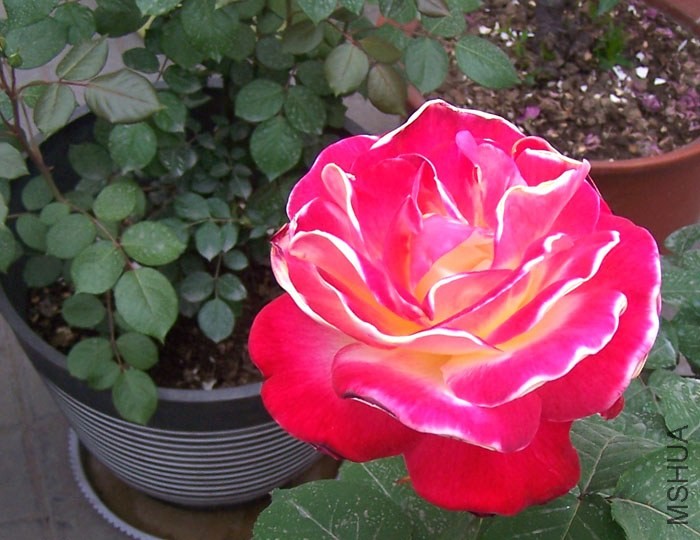 100_2041.jpg