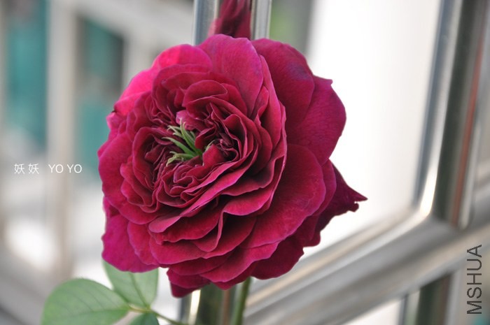 DSC_1174.jpg