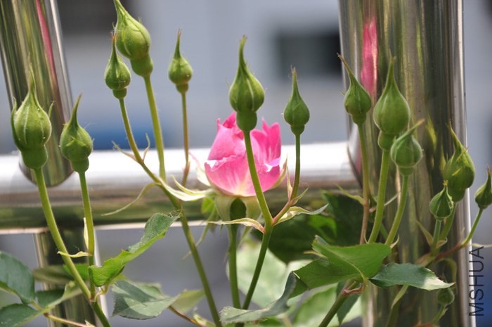 DSC_1112.jpg