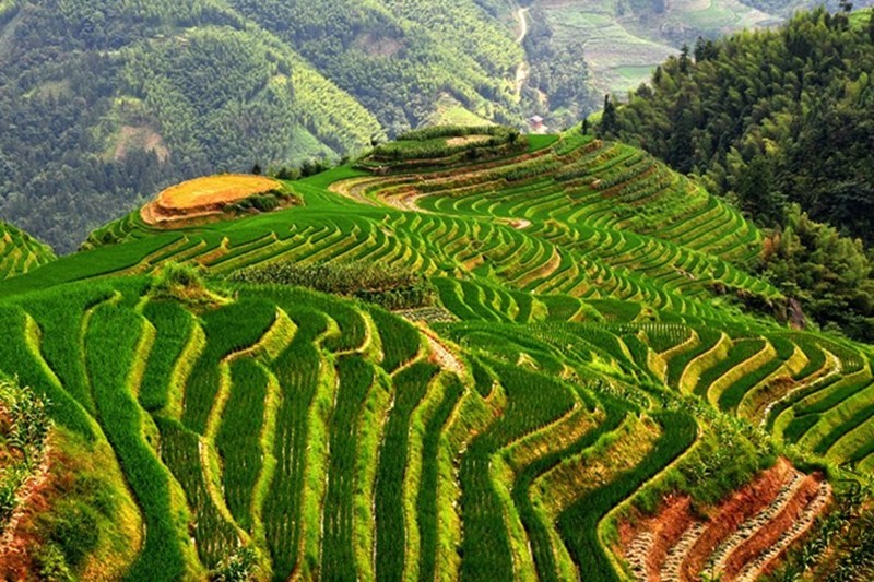 psb (27)_����.jpg